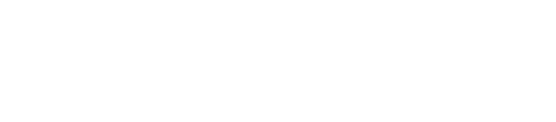 violinista electrico pablo navarro logo