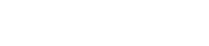 violinistaelectricopablonavarro logo